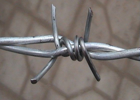 Porcellana Filo di ferro pungente torto doppio avvolto per la barriera di sicurezza, diametro di 1.6mm- 3.0mm fornitore