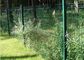 Maglia curva del giardino del metallo che recinta il recinto di filo metallico verde scuro di piegamento spruzzato polvere fornitore